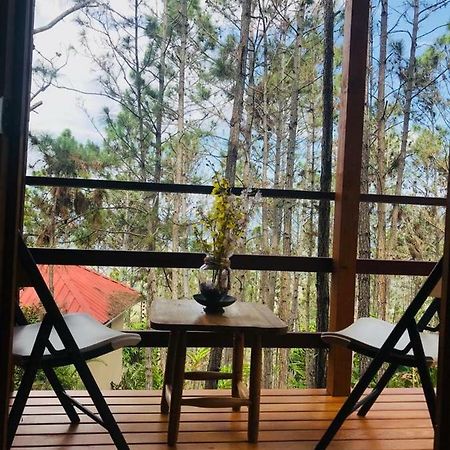 Casa De Arbol, Rancho Tierra Alta Hotell Jarabacoa Eksteriør bilde