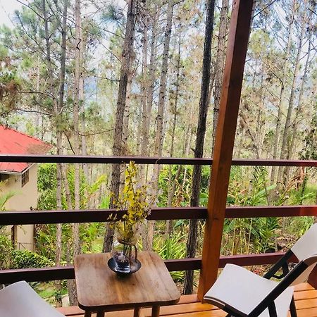 Casa De Arbol, Rancho Tierra Alta Hotell Jarabacoa Eksteriør bilde