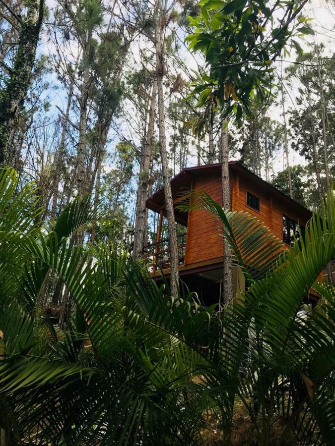 Casa De Arbol, Rancho Tierra Alta Hotell Jarabacoa Eksteriør bilde