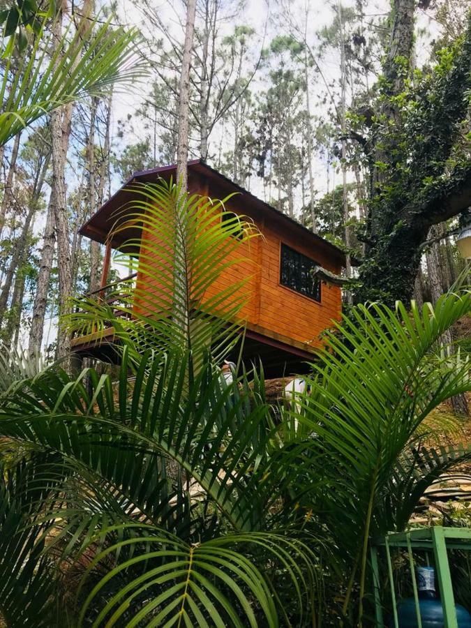Casa De Arbol, Rancho Tierra Alta Hotell Jarabacoa Eksteriør bilde